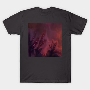 Aura T-Shirt